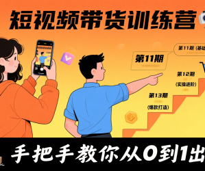 短视频带货训练营（第11+12期+13期），手把手教你短视频带货