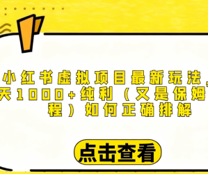 小红书虚拟项目最新玩法，单天1000+纯利（保姆级教程文档）