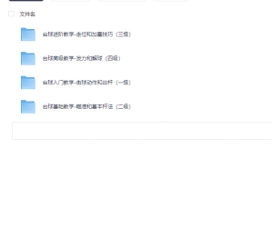台球1-4级（入门 基础 高级 进阶）