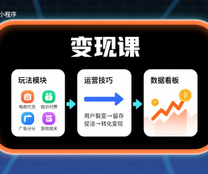 抖音小程序专业变现课，小程序各类玩法运营技巧变现