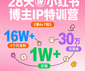 小红书博主IP特训营《第6+7期》：4个月涨粉16W+教你日销过万月营收30万