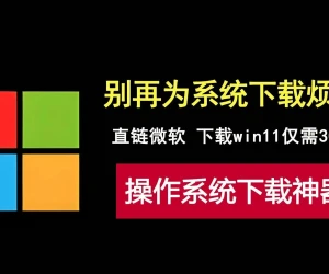 Win11直链下载|Win10&Win11镜像|多协议下载