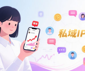 小白做私域IP流量从月薪三千到月入10000+