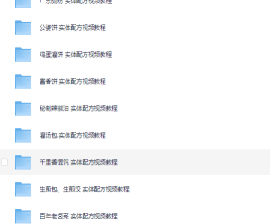 《小吃街小吃教程大全》视频教学美食做法 